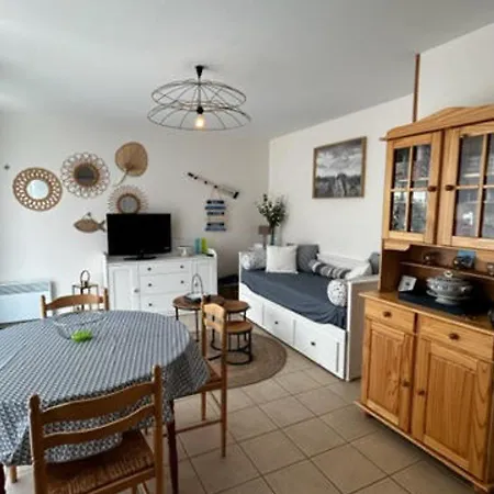 דירה Charmant T2 Cabine A 200 M De La Mer, Balcon, Parking Prive, Pour 4 Personnes - - Fr-1-730-20 קאנד